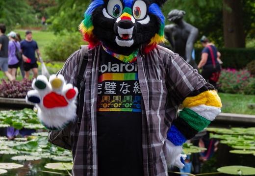 STL-JAPANESEFEST-35