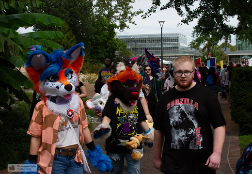 STL-JAPANESEFEST-37