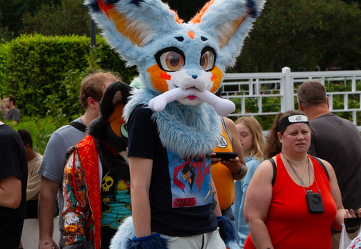 STL-JAPANESEFEST-42