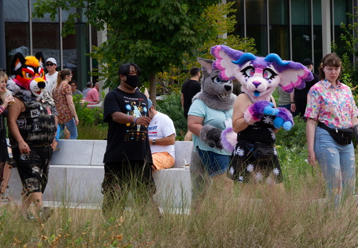 STL-JAPANESEFEST-43