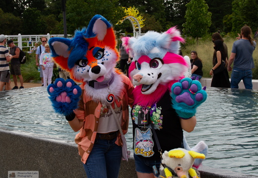 STL-JAPANESEFEST-44