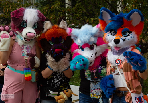 STL-JAPANESEFEST-48