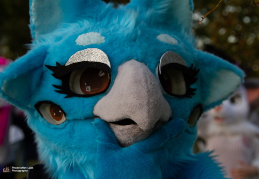 Fuzz &amp; Frights - 10-26-24-014
