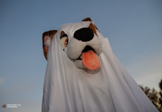 Fuzz &amp; Frights - 10-26-24-004