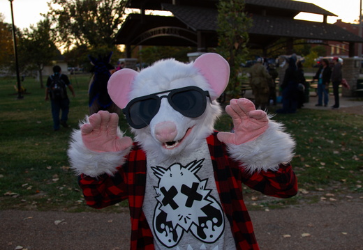Fuzz &amp; Frights - 10-26-24-006
