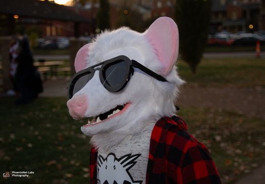 Fuzz &amp; Frights - 10-26-24-005