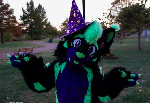 Fuzz &amp; Frights - 10-26-24-001
