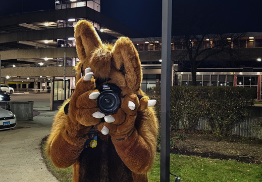 MFF 2024 - DEC 2024-222