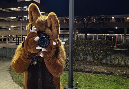 MFF 2024 - DEC 2024-223