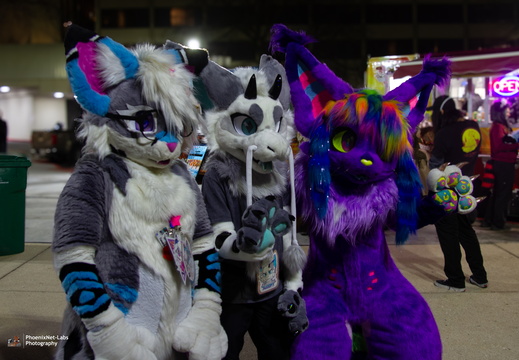 MFF 2024 - DEC 2024-001