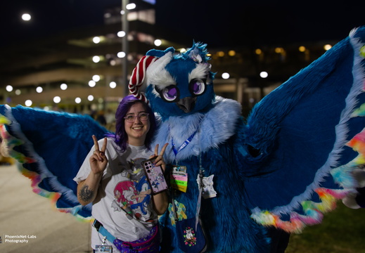 MFF 2024 - DEC 2024-002