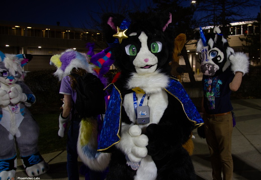 MFF 2024 - DEC 2024-005