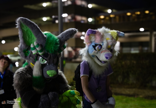 MFF 2024 - DEC 2024-006
