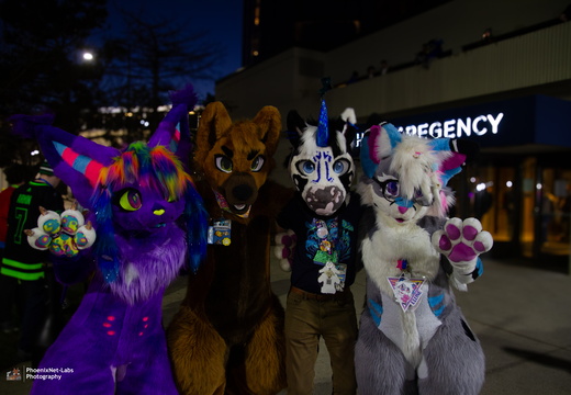 MFF 2024 - DEC 2024-007