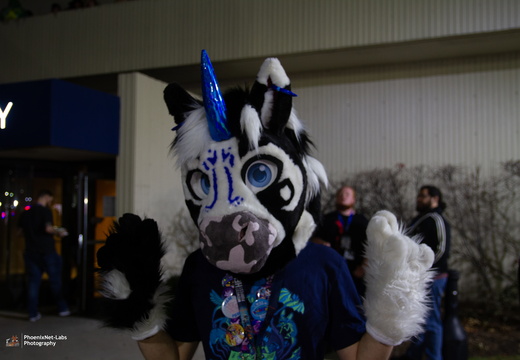 MFF 2024 - DEC 2024-010