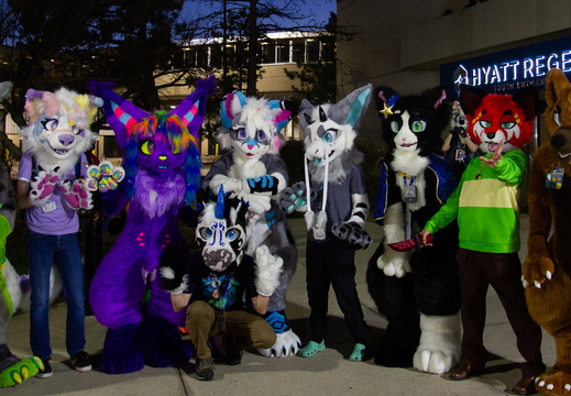 MFF 2024 - DEC 2024-012
