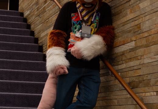 MFF 2024 - DEC 2024-126