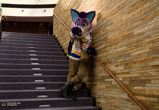MFF 2024 - DEC 2024-127