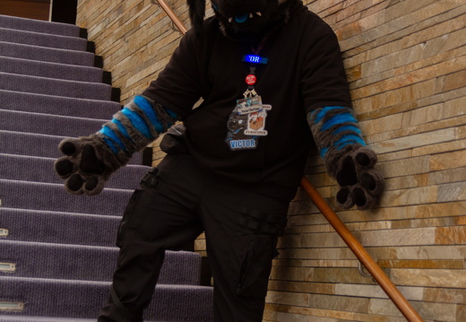 MFF 2024 - DEC 2024-129