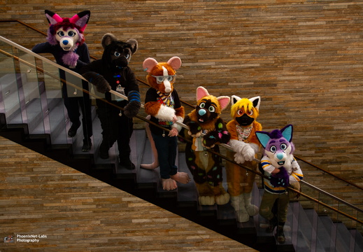 Foxes In Boxes Fursuits