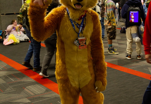MFF 2024 - DEC 2024-198