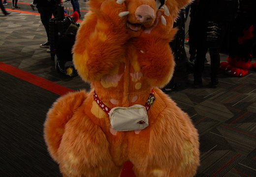 MFF 2024 - DEC 2024-199