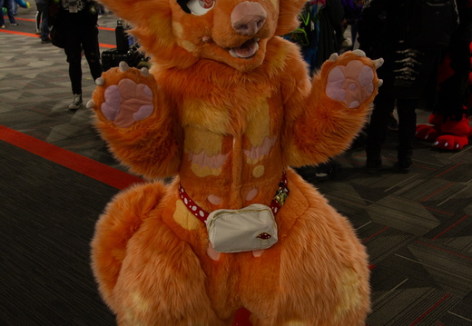 MFF 2024 - DEC 2024-200