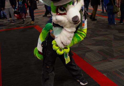 MFF 2024 - DEC 2024-203