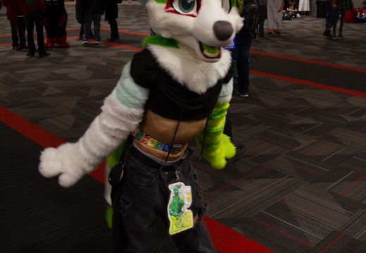 MFF 2024 - DEC 2024-204