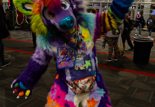 MFF 2024 - DEC 2024-207