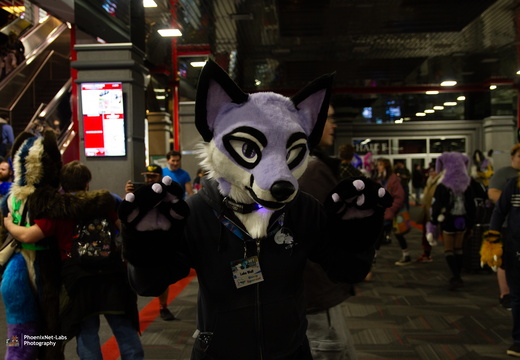 MFF 2024 - DEC 2024-208
