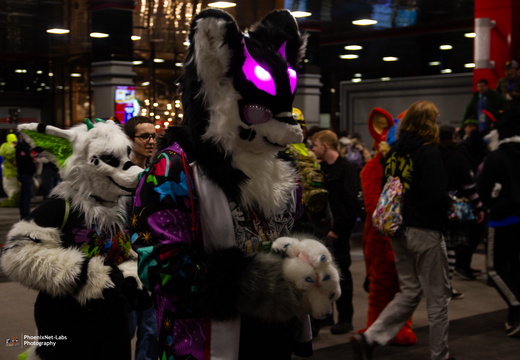 MFF 2024 - DEC 2024-209