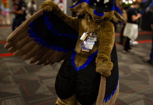 MFF 2024 - DEC 2024-210