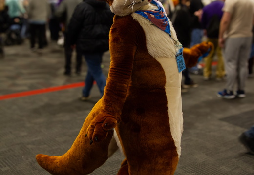 MFF 2024 - DEC 2024-211
