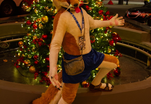 MFF 2024 - DEC 2024-212