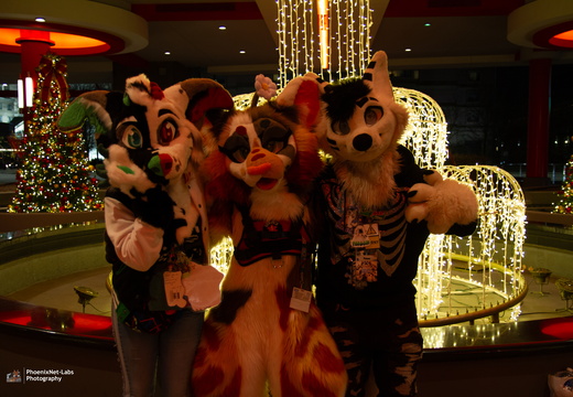MFF 2024 - DEC 2024-214