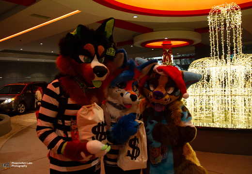 Midwest Furry Meetups