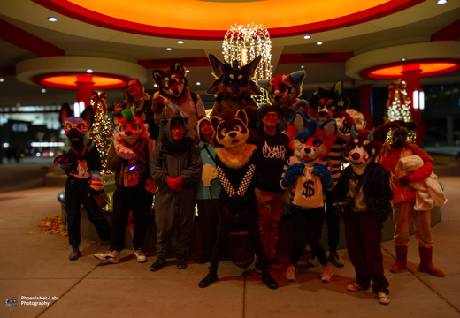 MFF 2024 - DEC 2024-217