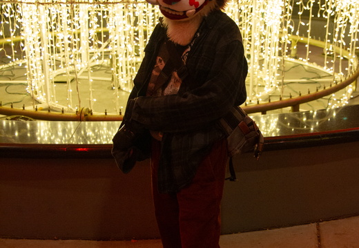 MFF 2024 - DEC 2024-218