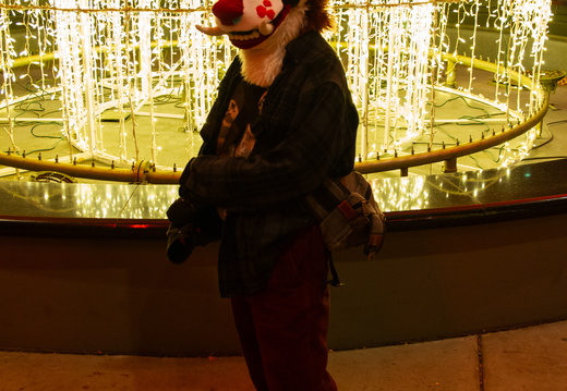MFF 2024 - DEC 2024-219