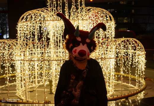 MFF 2024 - DEC 2024-220