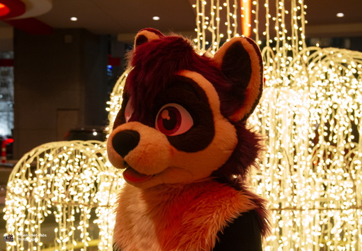 MFF 2024 - DEC 2024-221