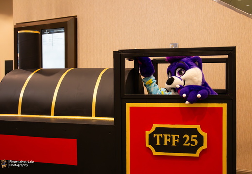 TFF-2025-153