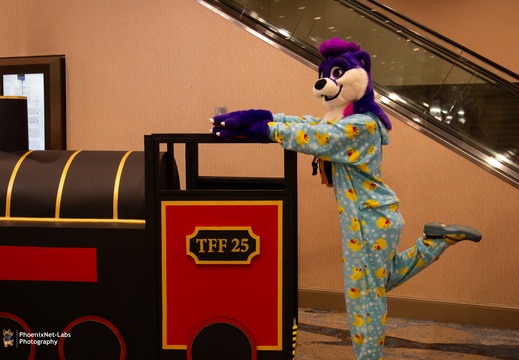 TFF-2025-154